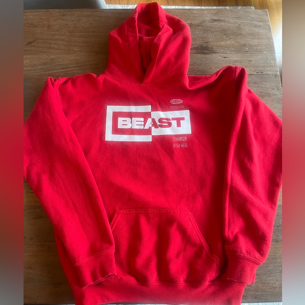 Youth XL Mr Beast hoodie. Some flaws see pic
